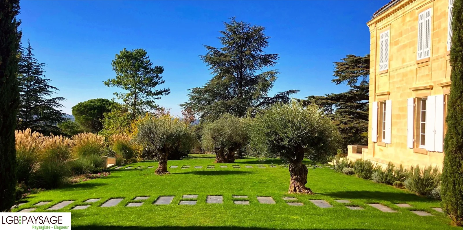Massifs plantés et paillés après aménagement