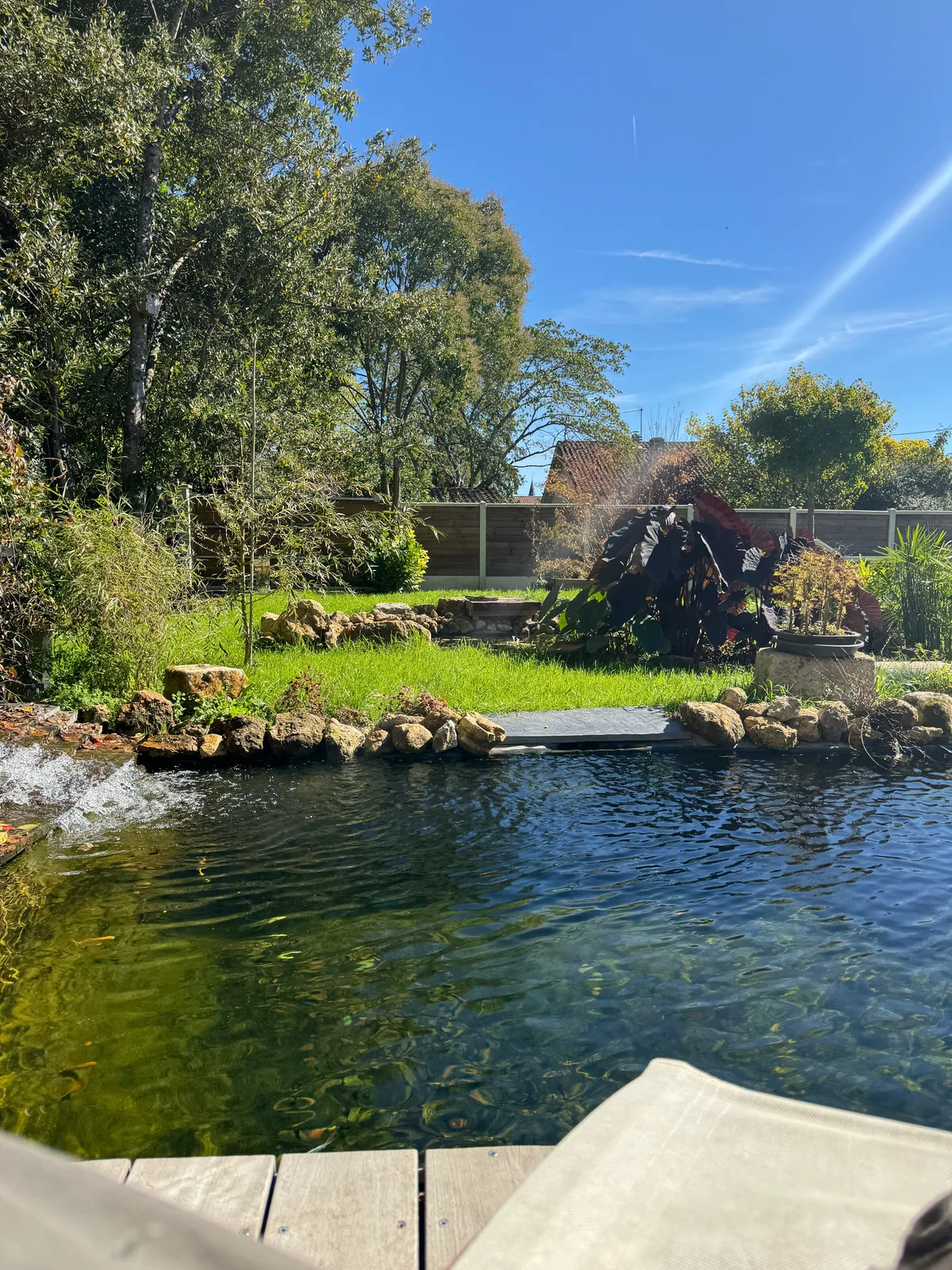 Grand bassin à poissons avec cascade sur enrochements, berges engazonnées et massifs de plantes exotiques, vu depuis la terrasse en bois